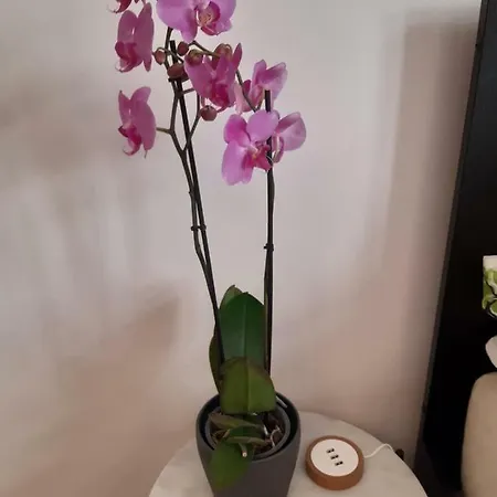 Modern Studio In The Hearth Of アパート ヘルシンキ